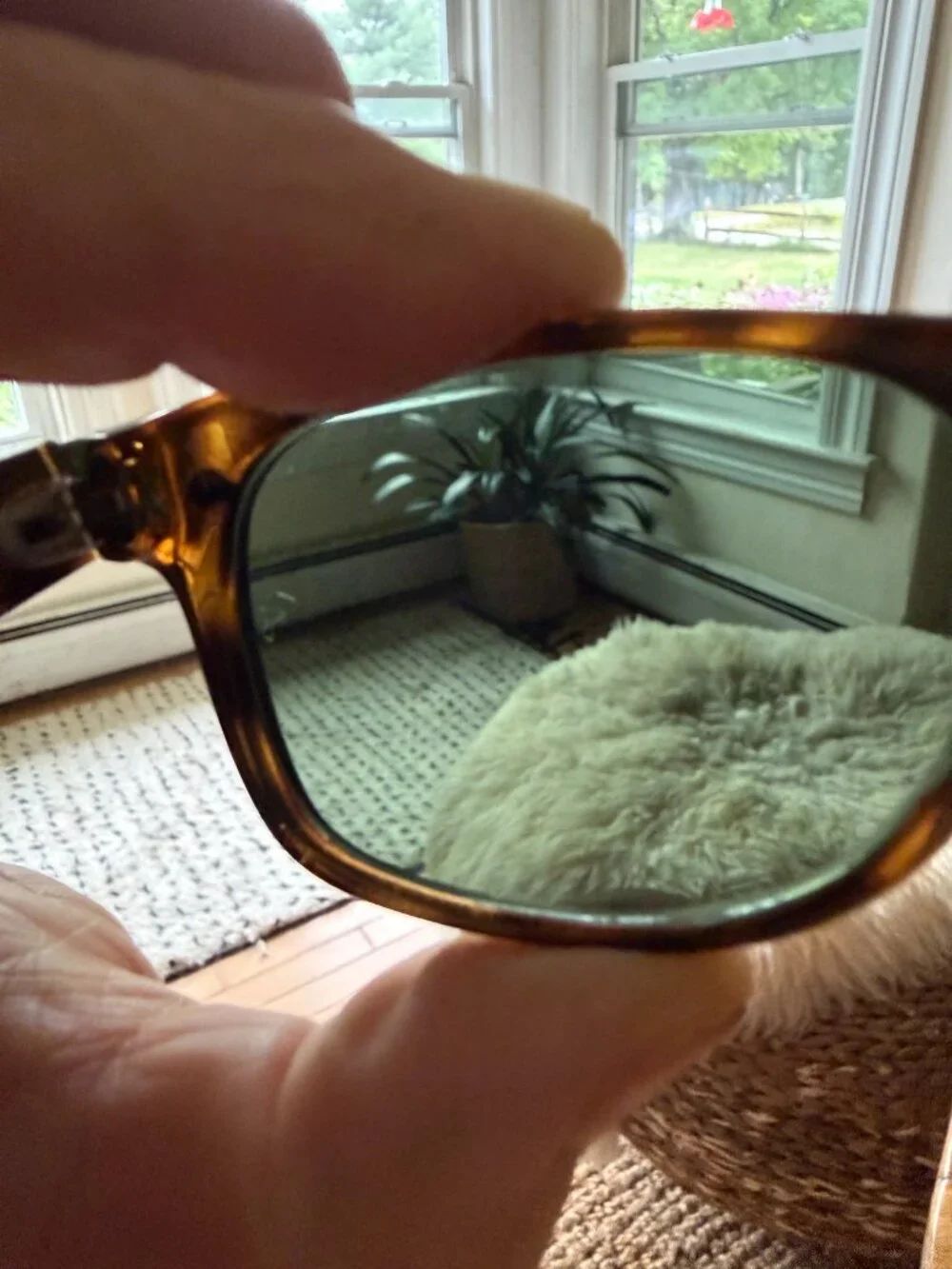 RAY BAN 'new wayfarer 902 52018' sunglasses